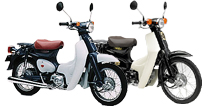 HONDA CUB50