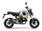 HONDA GROM(2BJ-JC92)